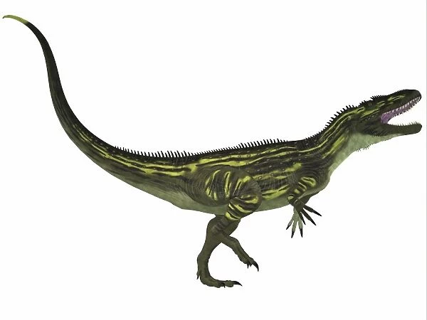 Torvosaurus, a large theropod dinosaur from the Jurassic Period
