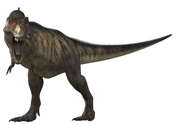 Tyrannosaurus Rex, a large carnivore of the Cretaceous Period