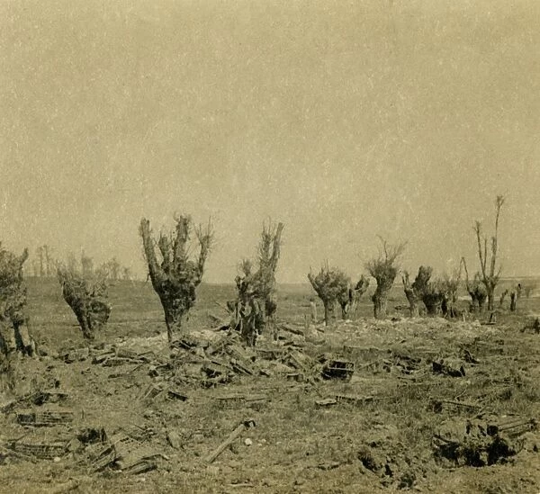 Battlefield, Maurepas, northern France, c1914-c1918