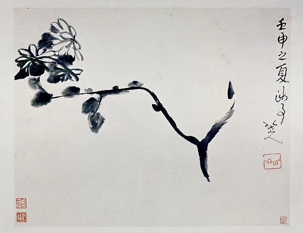 Chrysanthemum, 1692. Artist: Zhu Da, (Bada Shanren) (1625-1705)
