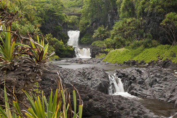 Hawaii, Maui, Hana, Seven Sacred Pools, a large stream and waterfalls