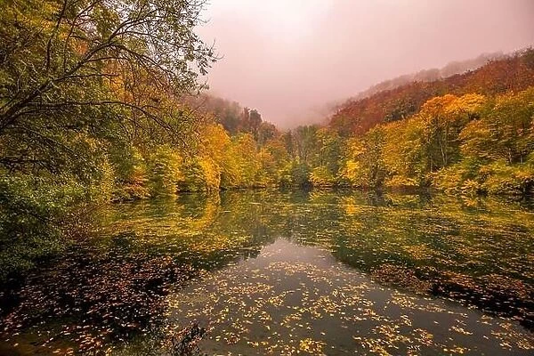 Beautiful, colorful autumn lake. Amazing water reflection, peaceful nature scenery. Yellow orange leaves, misty morning light. Relax autumnal fall