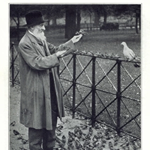 The Birdman - Hyde Park Corner