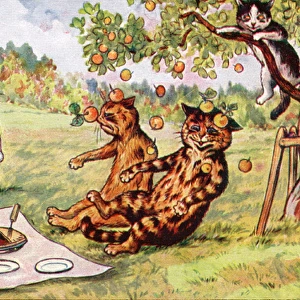 Four cats having a picnic