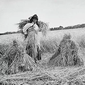 Farming - Gathering the hay Victorian period