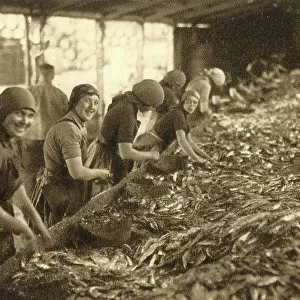 Fisher Girls at Gorleston-on-Sea, Norfolk