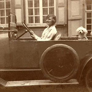 Lady takes her two pet dogs for a drive