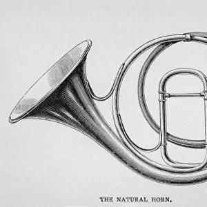 Natural Horn on its Own