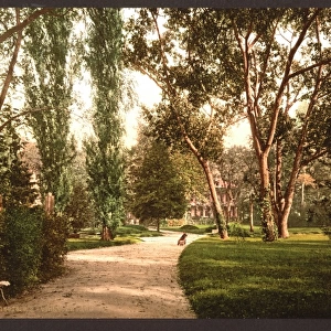 The park, Vichy, France