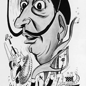Salvador Dali Cartoon