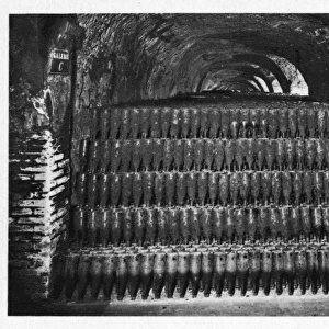 Wine bottles stored in a cellar, gathering dust