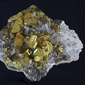 Chalcopyrite (CuFeS2) (Golden) - Peru - The major ore of copper - Copper Iron sulfide - Very important economic ore - Quartz SiO2