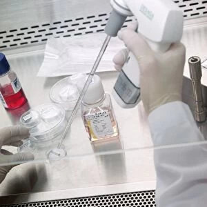 Cell culture research
