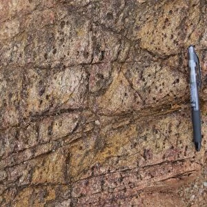 Heavily jointed gneiss outcrop