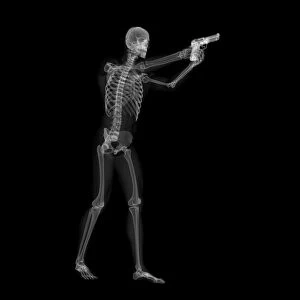 Skeleton with gun, artwork F008 / 2619