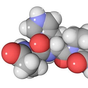 Thyrotrophin-releasing hormone molecule