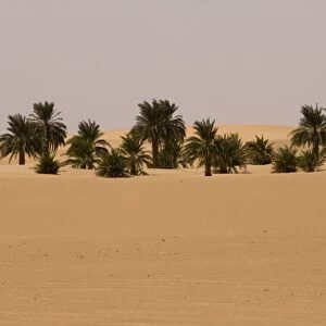 Bayuda Desert, Sudan, Africa