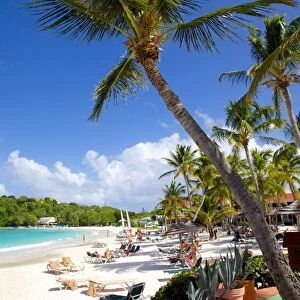 Beach and palm trees, Long Bay, Antigua, Leeward Islands, West Indies, Caribbean, Central America