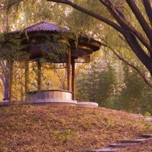 Forest Pavilion, Purple Bamboo Park, Beijing, China, Asia