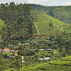 Village amidst tea plantations in the hill country between Hatton and Nuwara Eliya