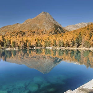 A perfect autumn day, lake Saoseo, Poschiavo, val di Campo, Canton of Graubunden