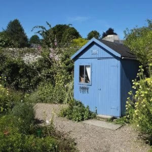 Blue shed in cottage garden, Saint-Valery-sur-Somme, Baie de Somme, Somme, Picardy, France, August