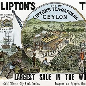 TEA ADVERTISEMENT, 1896. For Liptons Teas featuring the English Companys plantations