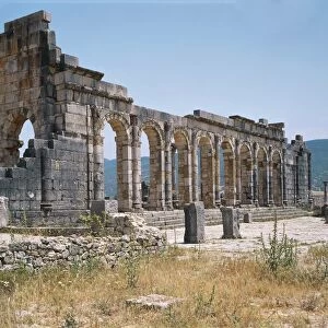 Morocco, Meknes-El Menzeh, Basilica (early 3rd century A. D. ) at Ancient city of Volubilis