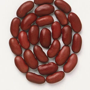 Red kidney beans arranged in a circular pattern, close up