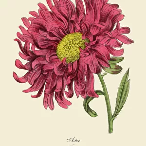 Floral artwork