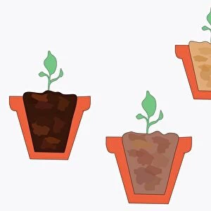Digital illustration of three types of potting soil and compost in cross section of plant pots