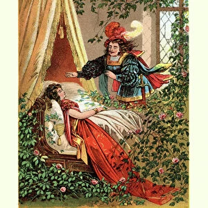 Sleeping Beauty fairy tale
