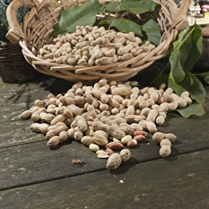 Wicker basket with peanuts -Arachis hypogaea- on a rustic wooden table
