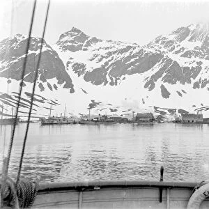 Grytviken Whaling Station from the Endurance