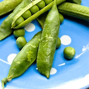 Fresh garden peas in their pods on blue spotted plate credit: Marie-Louise Avery