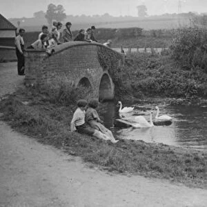 Hop pickers watch the swans on the river from a bridge. 1938