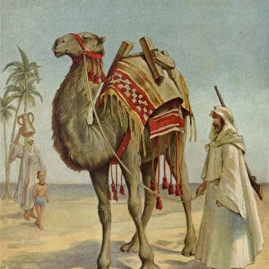 An Arab Merchant (chromolitho)