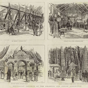 Australian Exhibits at the Colonial and Indian Exhibition (engraving)
