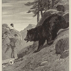 Bear Hunting in Cashmere, a Run for Life (engraving)
