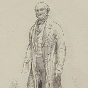 Bronze Statue of the late John H Vivian, MP for Swansea (engraving)
