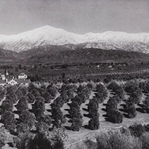 California: Redlands, from Smiley Heights, sunshine, orange groves, and snowy peaks (b / w photo)