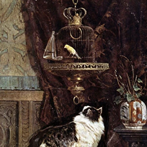 Cat spying on a bird in a cage - by Henriette Ronner, 19th century
