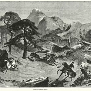 Chasse a l ours gris au laco (engraving)