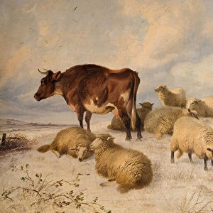 Cows and Sheep in Snowscape, 1864 (oil on canvas)