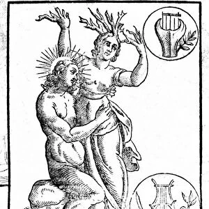 Daphne pursued by Apollo is transformed into laurel - Engraving in Natalis Comitis "
