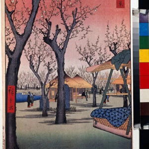 Estampe japonaise : le verger des pruniers a Kamata (Tokyo, Japon) - Serie cent vues celebres d'Edo (The Plum Orchard at Kamata, One Hundred Famous Views of Edo) - Oeuvre de Utagawa Hiroshige (1797-1858), gravure sur bois (39x26 cm)