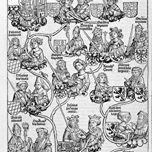 Family tree. In "Nuremberg Chronicles", 1593