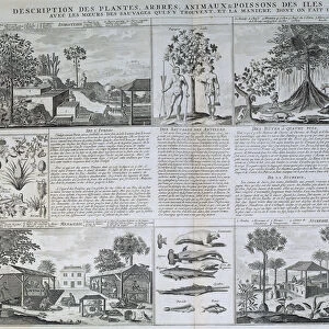 French colonies: description of the plants, trees and animals of the Caribbean islands