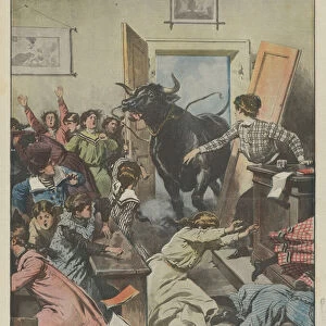 Girls school torn apart during class by an angry bull penetrated in the school itself (colour litho)