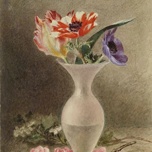 Glass vase and flowers (w / c)